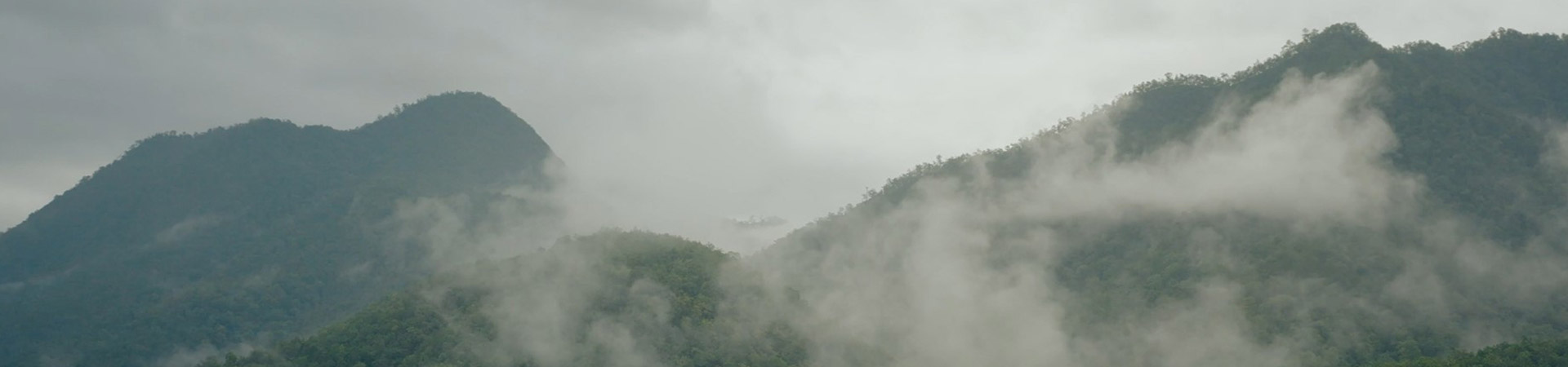 文章橫幅